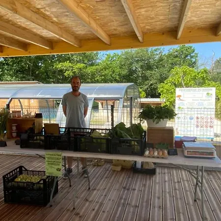 Confortable De 35m² Avec Terrasse - Api-1-52-488 Camping