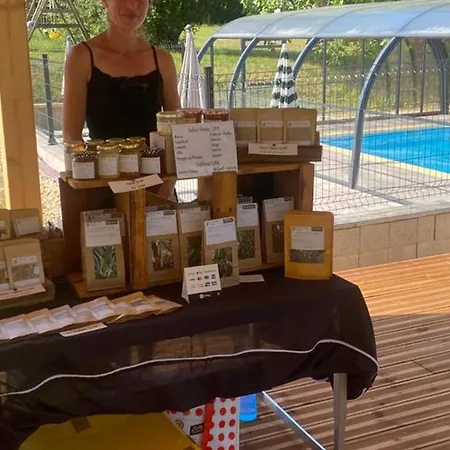 Confortable De 35m² Avec Terrasse - Api-1-52-488 Camping *