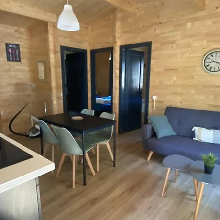 Confortable De 35m² Avec Terrasse - Api-1-52-488 Camping *