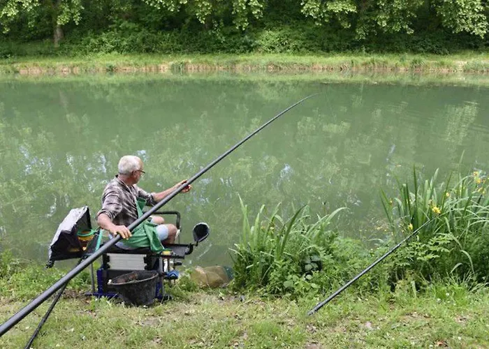 Confortable De 35m² Avec Terrasse - Api-1-52-488 * Le Fouilloux