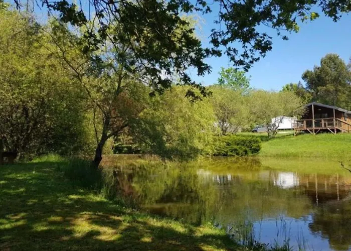 Confortable De 35m² Avec Terrasse - Api-1-52-488 Camping