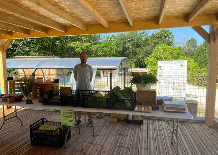 Confortable De 35m² Avec Terrasse - Api-1-52-488 Camping