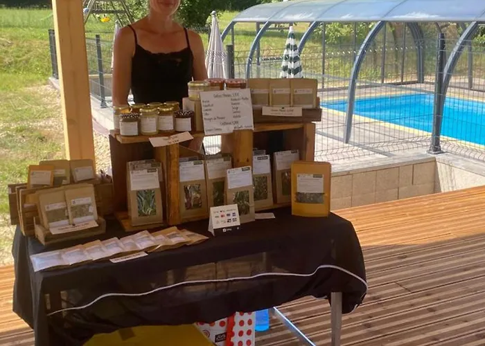 Confortable De 35m² Avec Terrasse - Api-1-52-488 Camping *